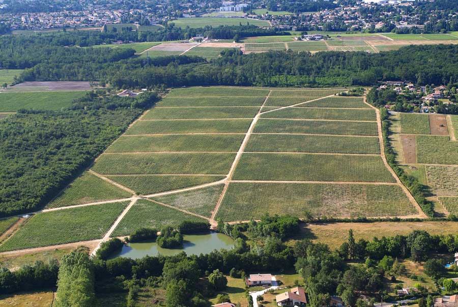 00vigne-bordelais-42-0605