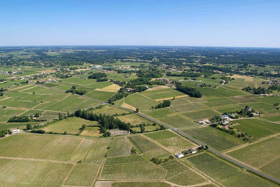 00vigne-bordelais-5-0605