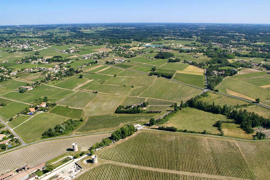 00vigne-bordelais-6-0605