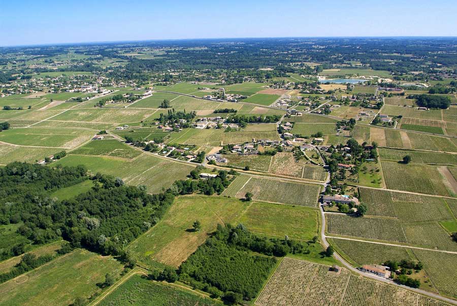 00vigne-bordelais-8-0605