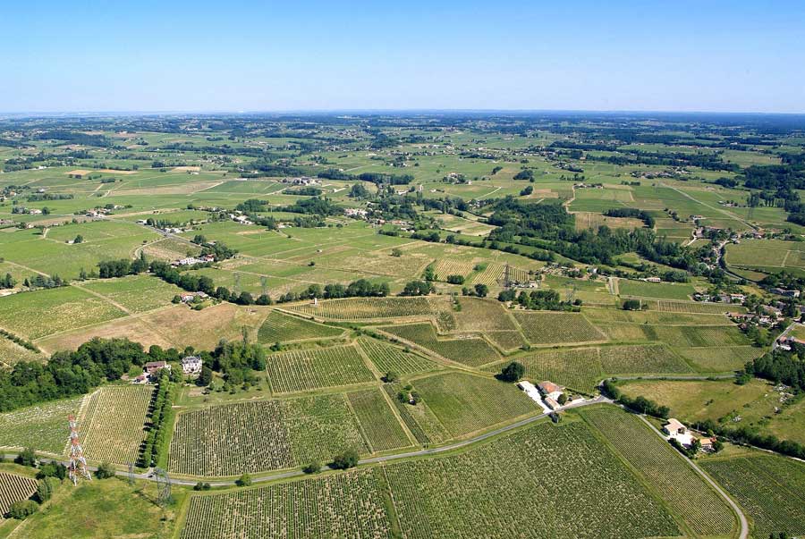 00vigne-bordelais-9-0605
