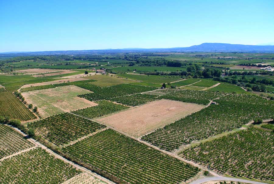 00vigne-languedoc-10-0806
