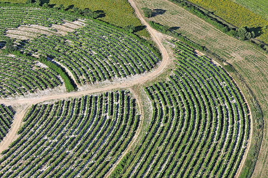 00vigne-languedoc-11-0608