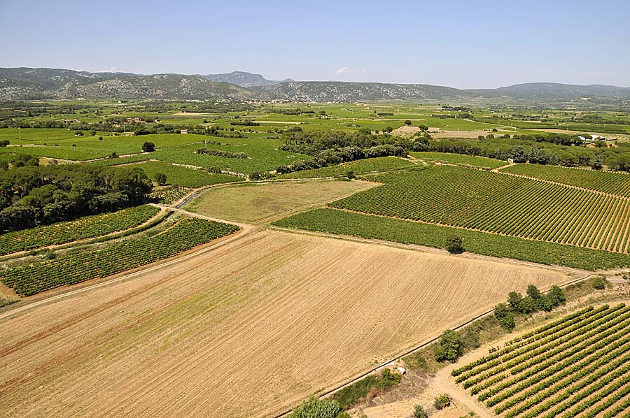 00vigne-languedoc-11-0708