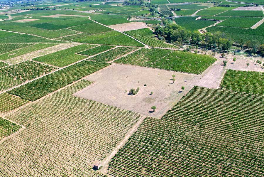 00vigne-languedoc-14-0806