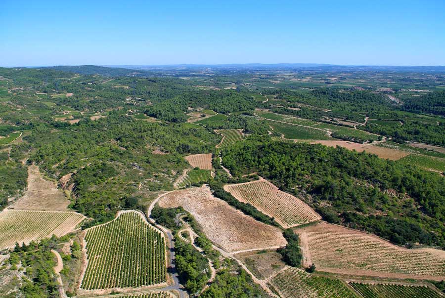 00vigne-languedoc-17-0806