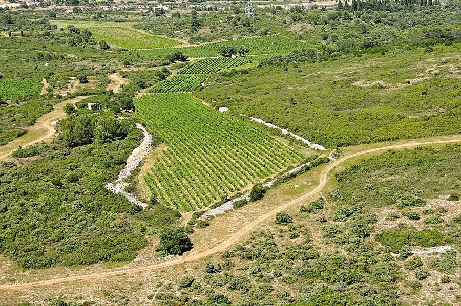 00vigne-languedoc-18-0708