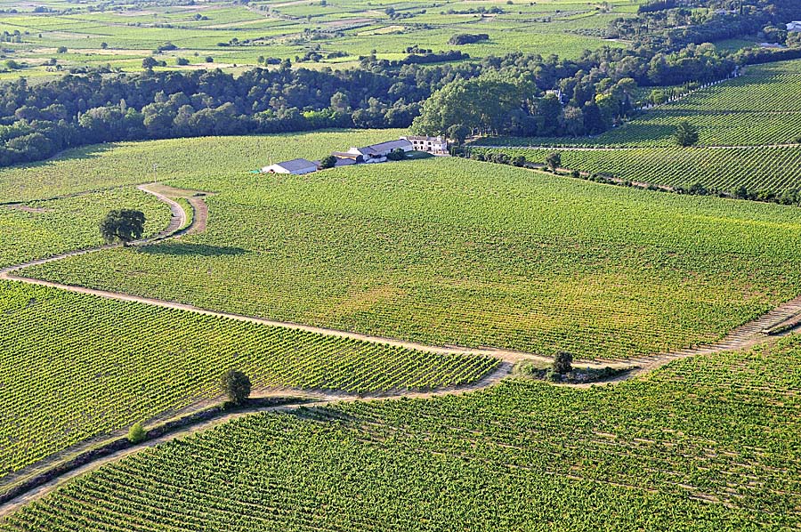 00vigne-languedoc-22-0608