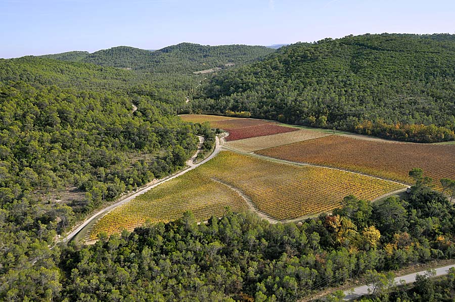 00vigne-languedoc-25-1009