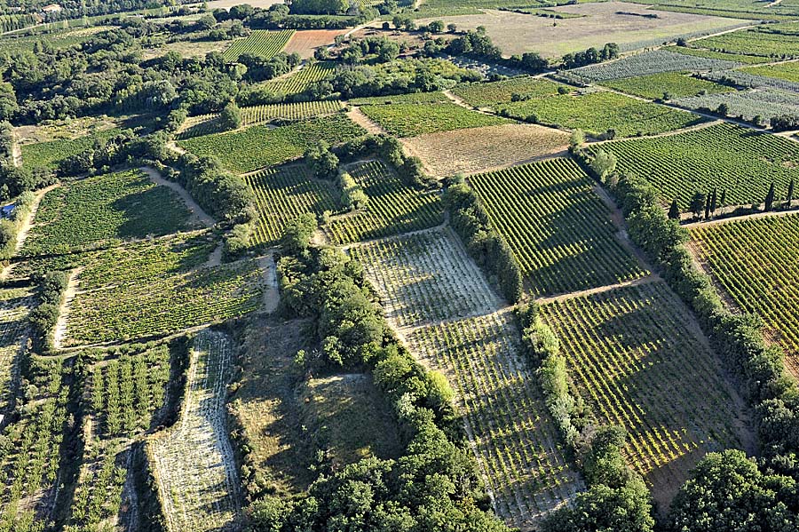 00vigne-languedoc-4-0912