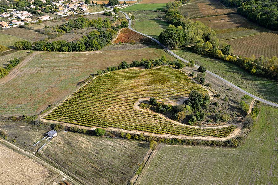 00vigne-languedoc-6-1009