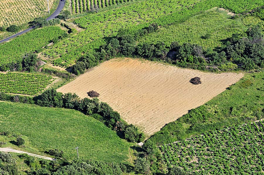 00vigne-languedoc-7-0608
