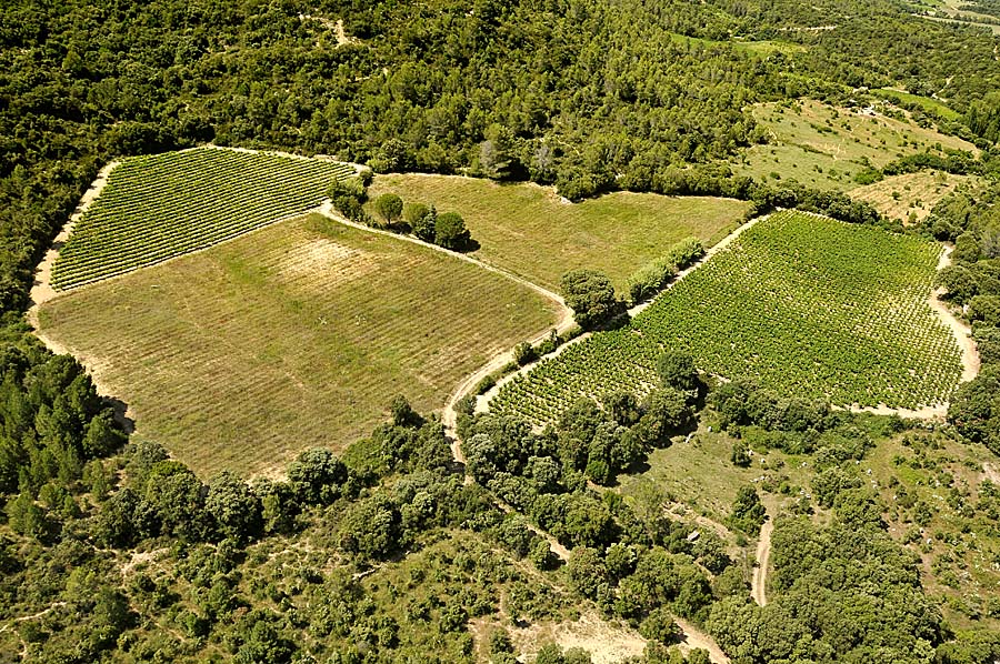 00vigne-languedoc-8-0708