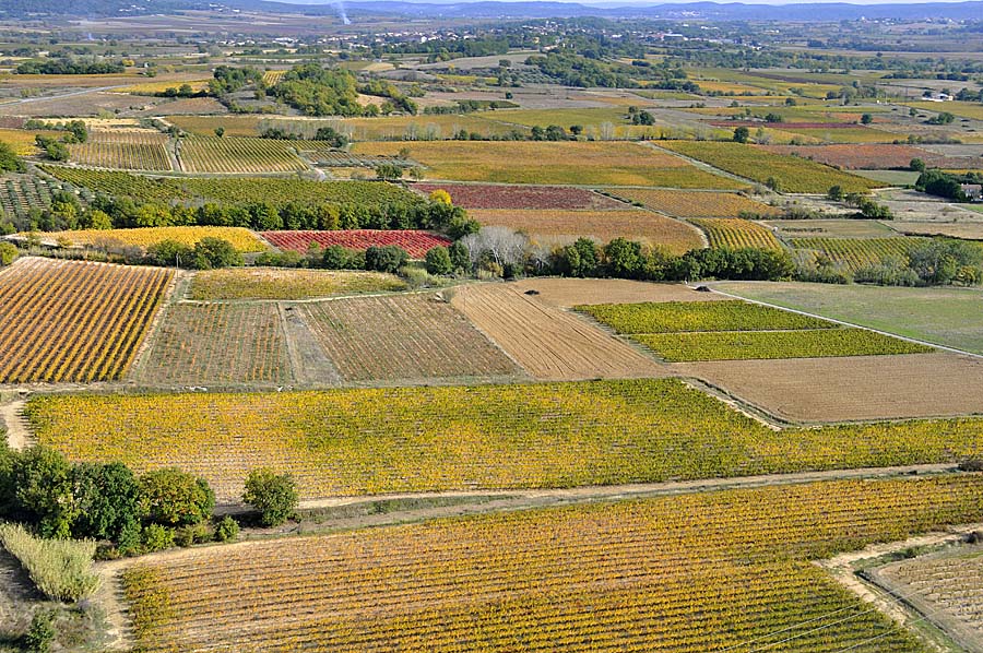 00vigne-languedoc-8-1009
