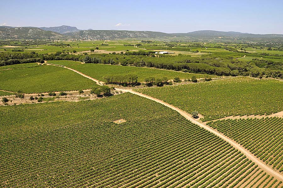 00vigne-languedoc-9-0708