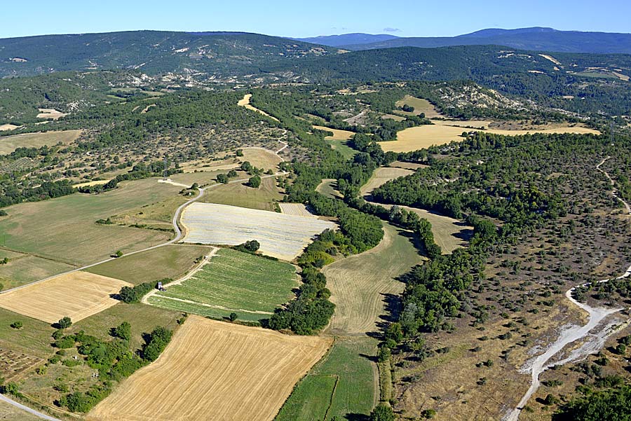 04agriculture-alpes-de-haute-provence-12-0717