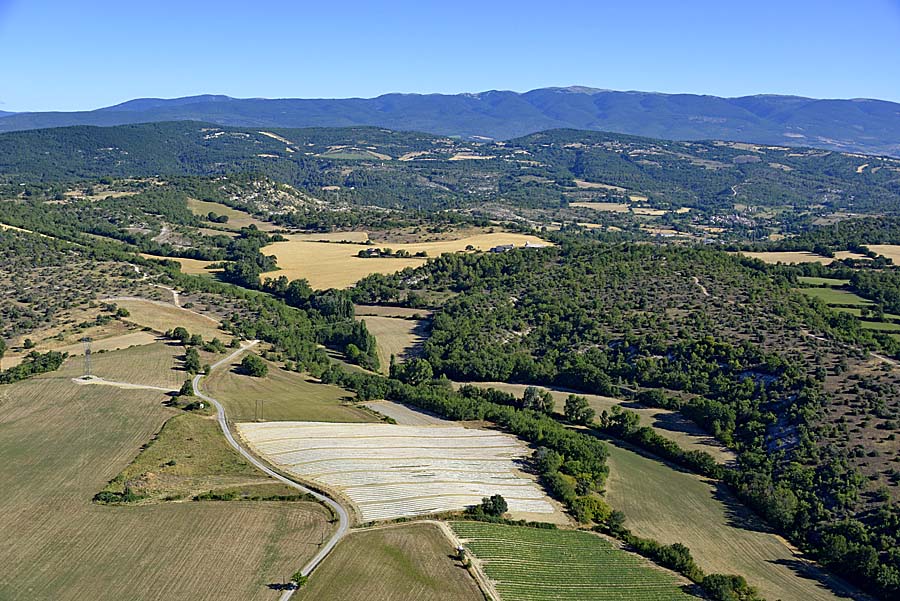 04agriculture-alpes-de-haute-provence-13-0717