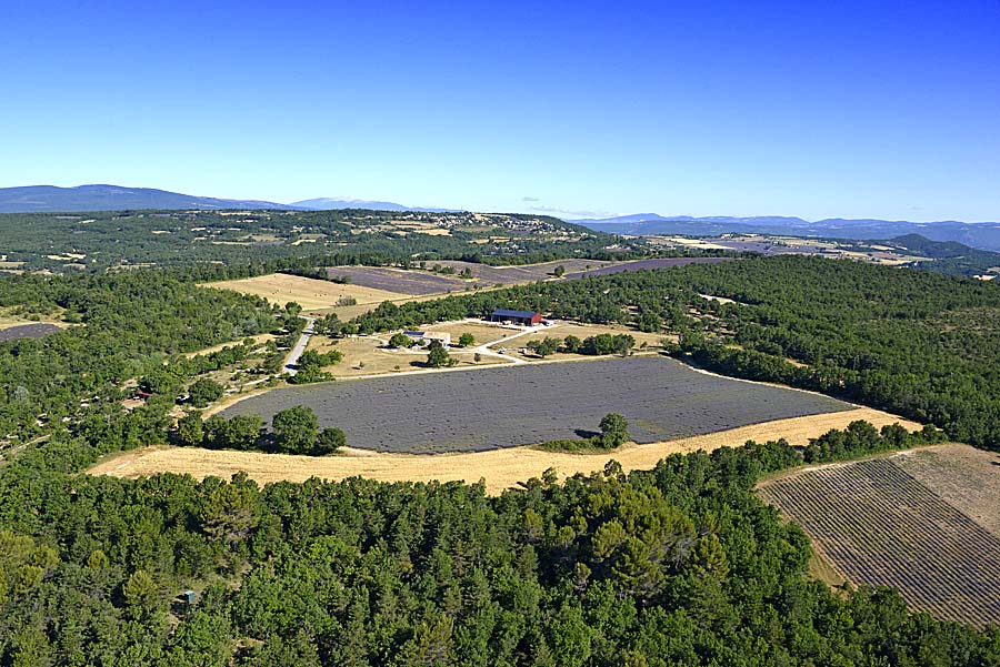 04agriculture-alpes-de-haute-provence-18-0717