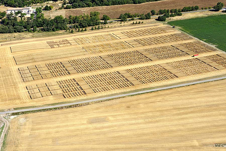 04agriculture-alpes-de-haute-provence-23-0717