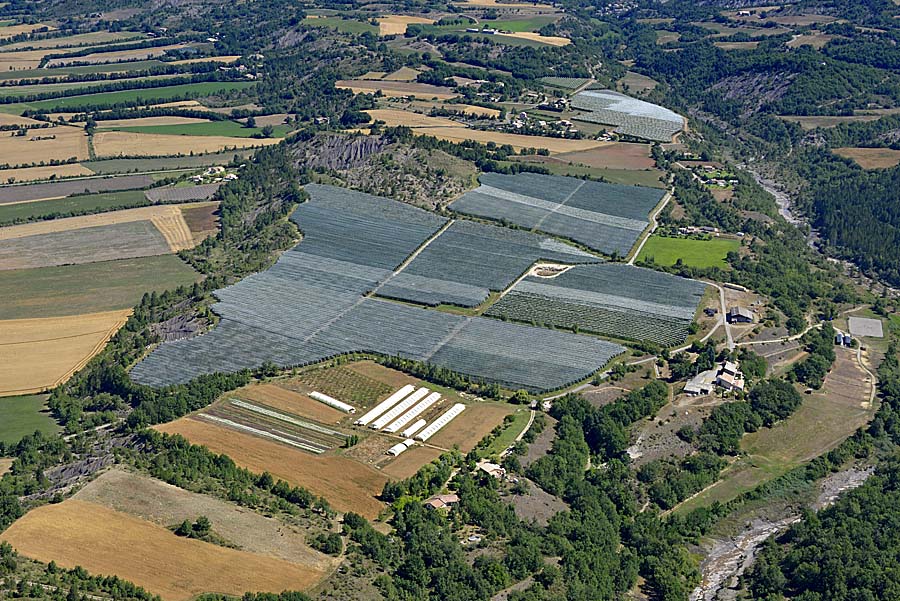 04agriculture-alpes-de-haute-provence-31-0717