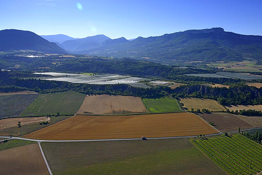 04agriculture-alpes-de-haute-provence-41-0717