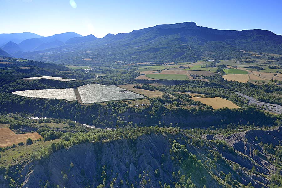 04agriculture-alpes-de-haute-provence-42-0717