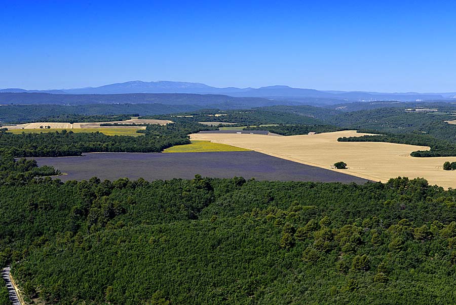 04plateau-valensole-1-0717