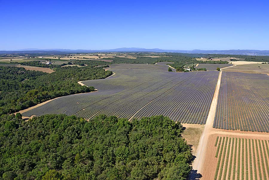 04plateau-valensole-10-0717