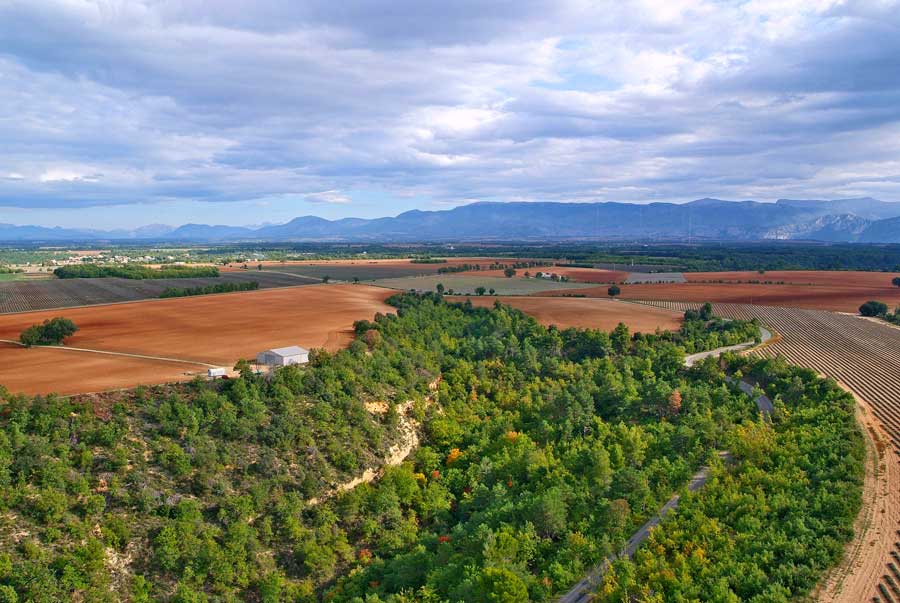 04plateau-valensole-10-1005