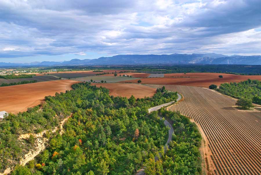 04plateau-valensole-11-1005