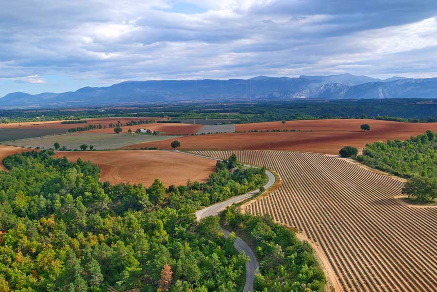 04plateau-valensole-12-1005