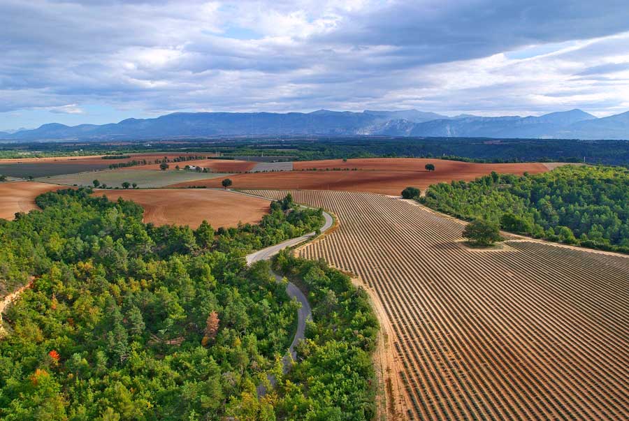 04plateau-valensole-13-1005