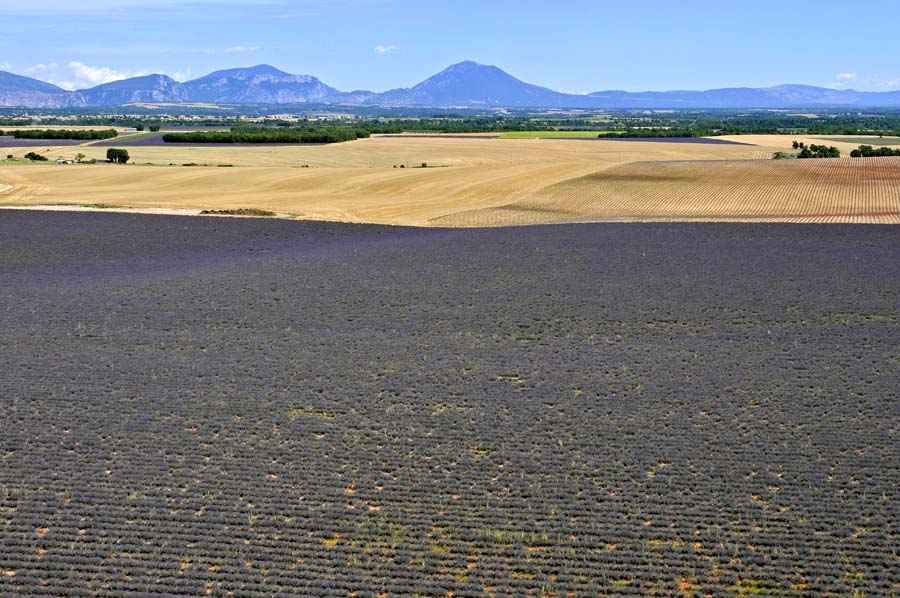 04plateau-valensole-14-0810