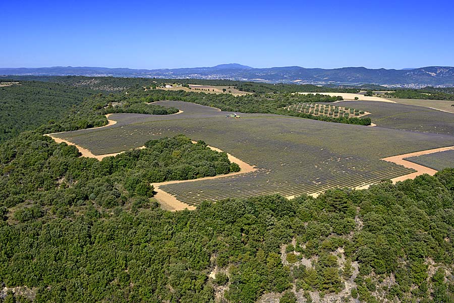 04plateau-valensole-15-0717