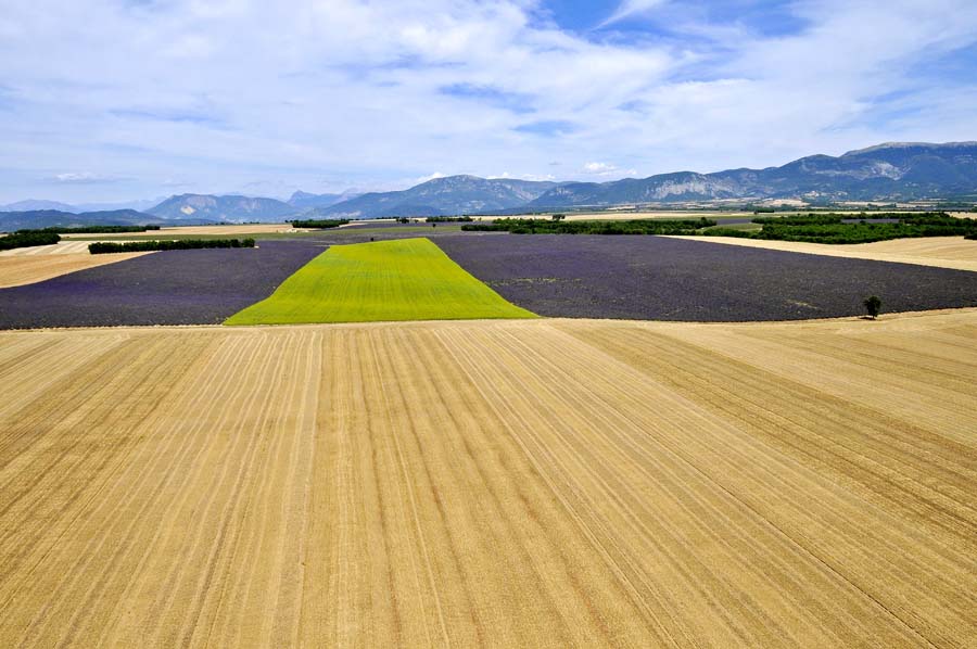 04plateau-valensole-15-0810