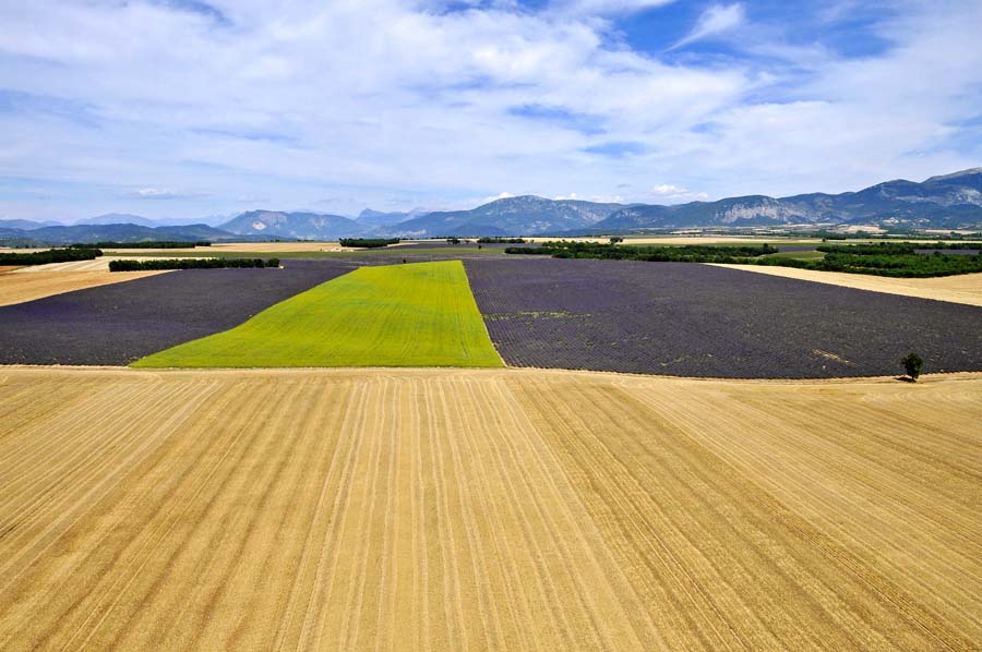 04plateau-valensole-16-0810