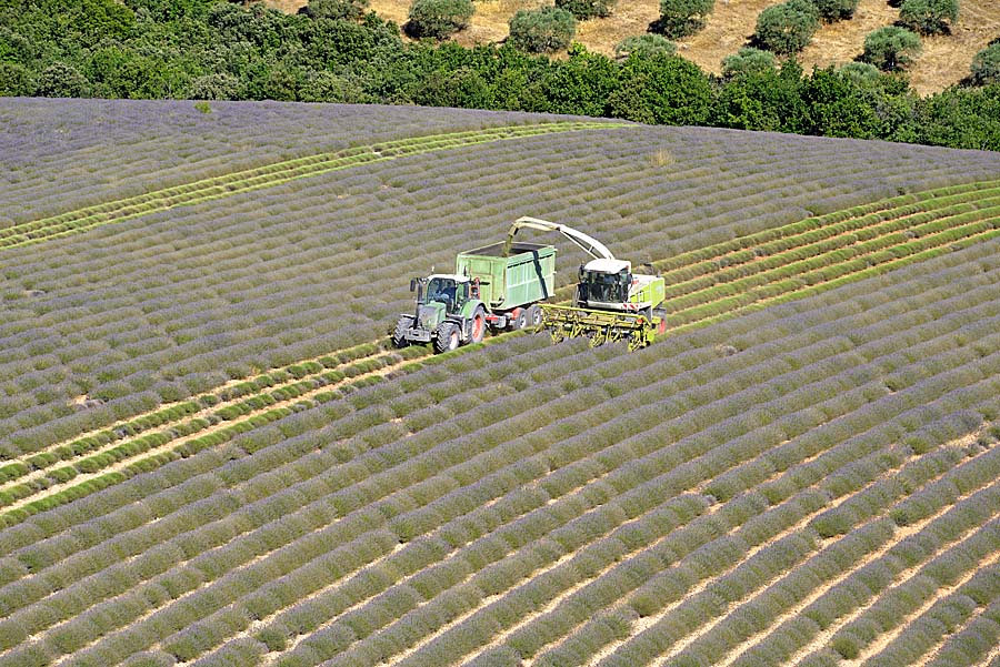 04plateau-valensole-17-0717