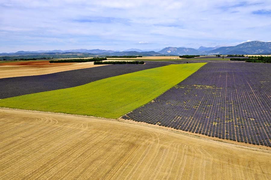 04plateau-valensole-17-0810