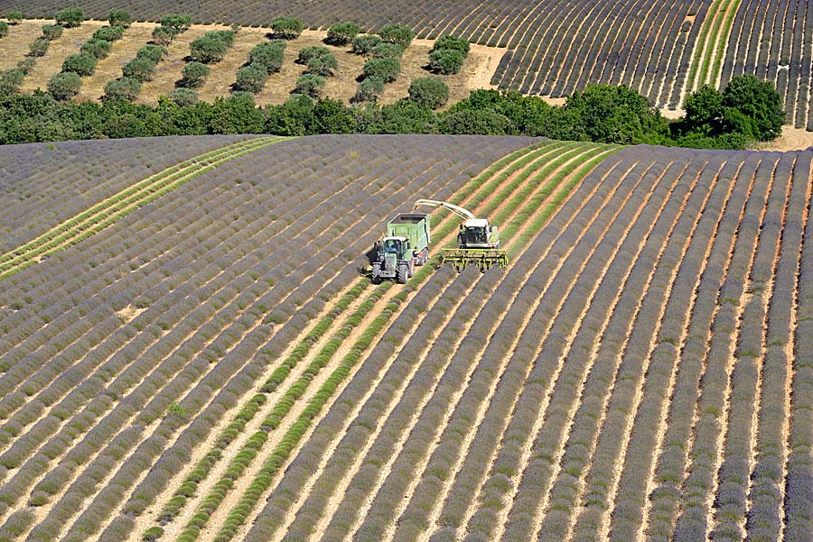 04plateau-valensole-18-0717