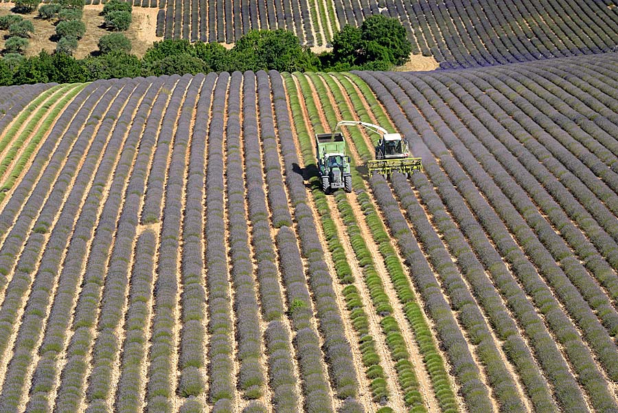 04plateau-valensole-19-0717