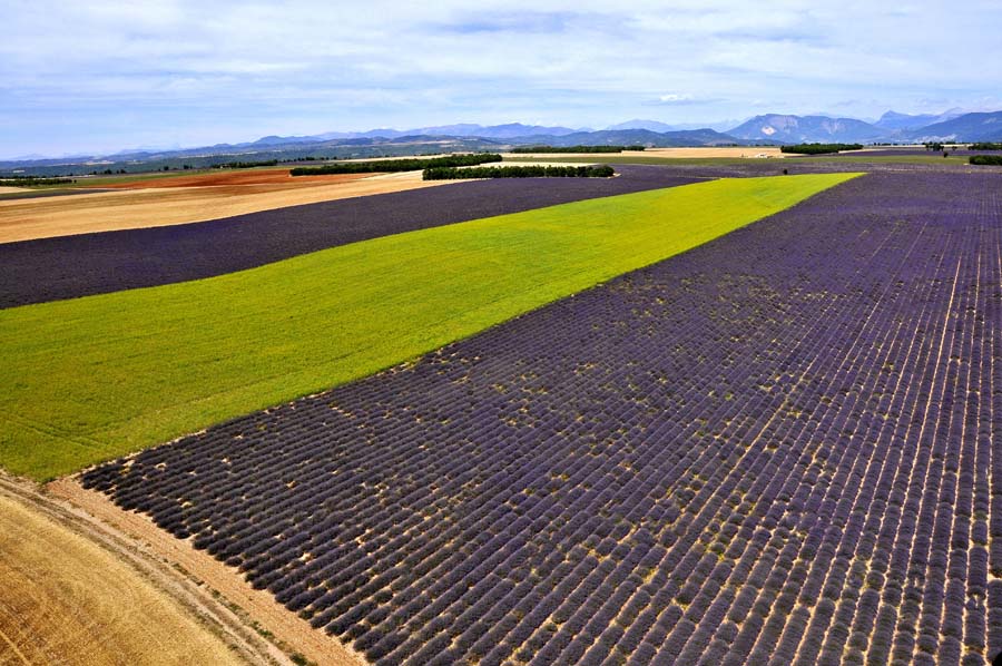 04plateau-valensole-19-0810