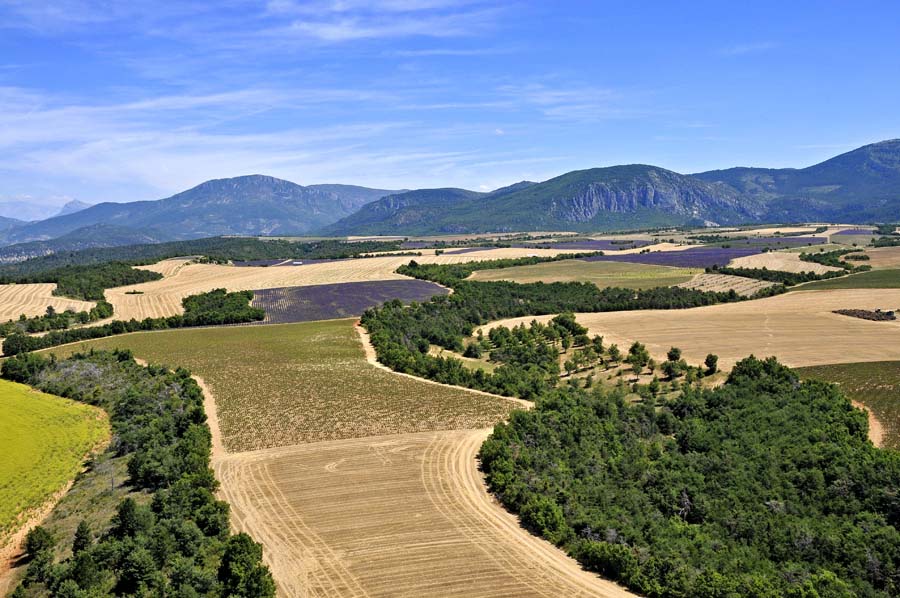 04plateau-valensole-2-0810