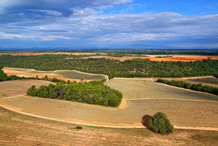 04plateau-valensole-2-1005