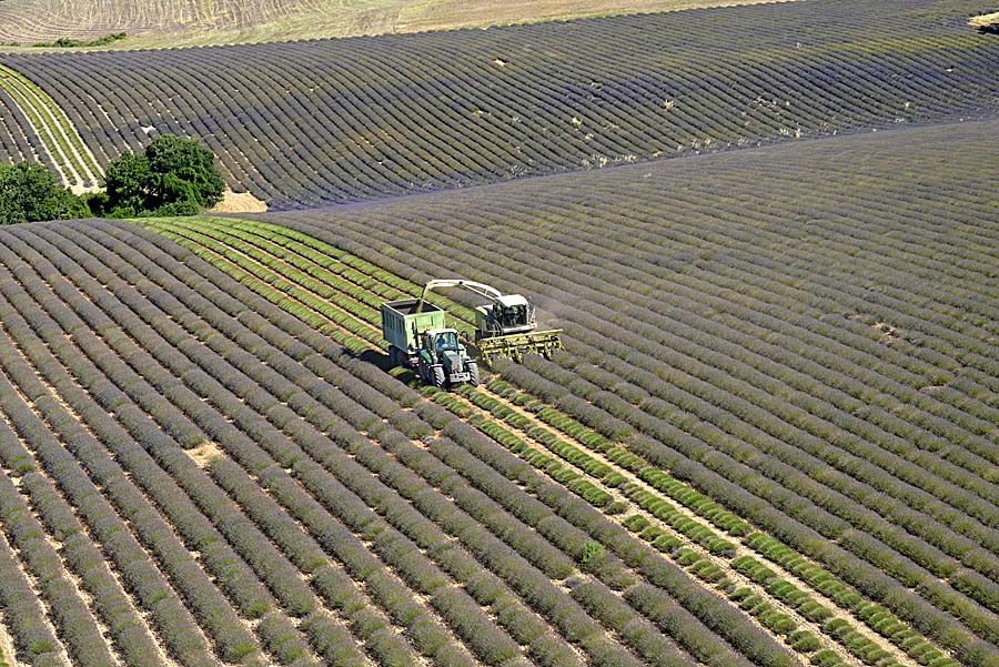 04plateau-valensole-20-0717