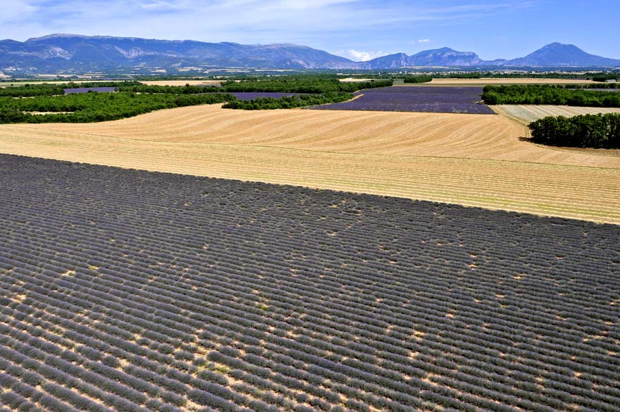 04plateau-valensole-21-0810