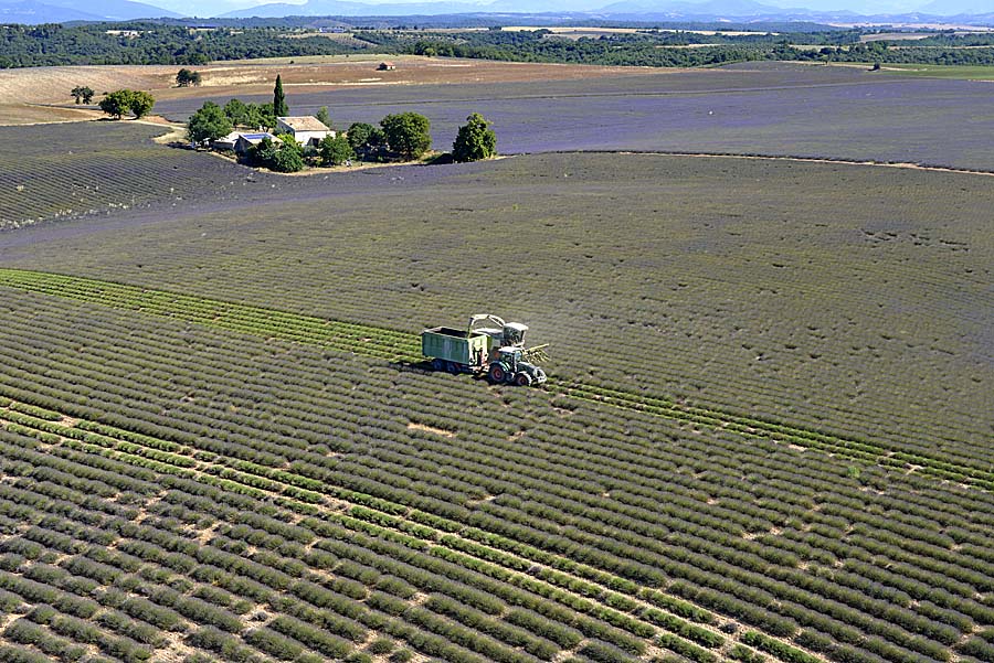 04plateau-valensole-22-0717