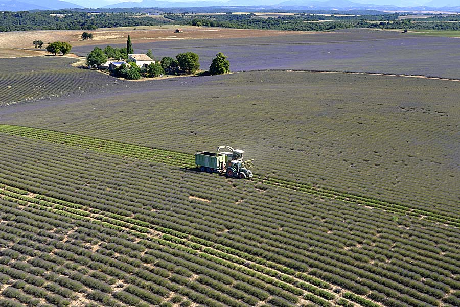 04plateau-valensole-22-0717