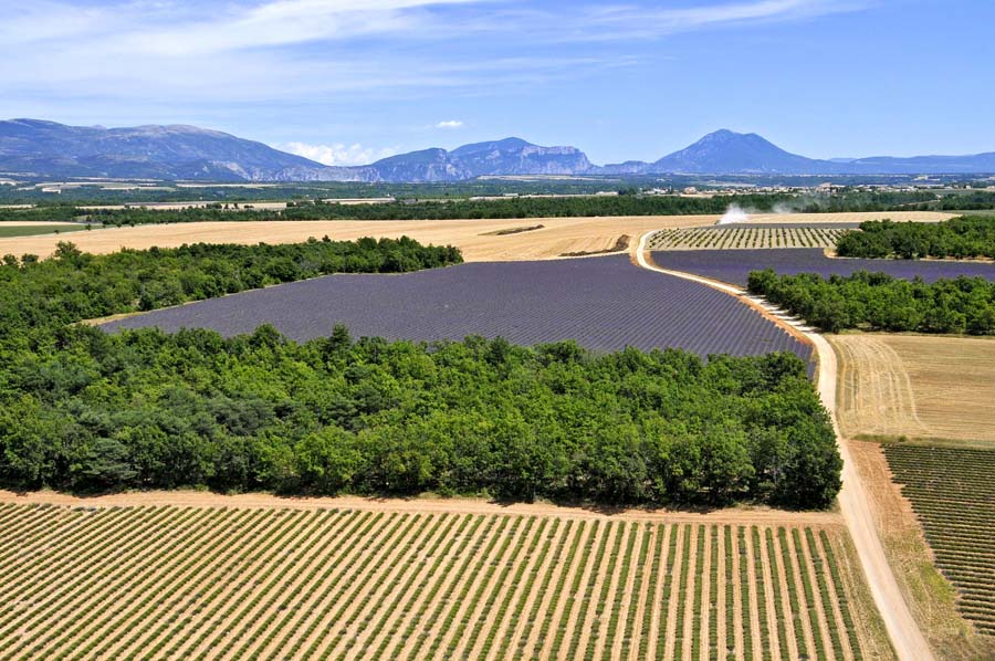 04plateau-valensole-26-0810