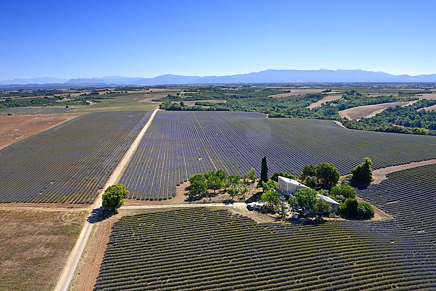 04plateau-valensole-27-0717