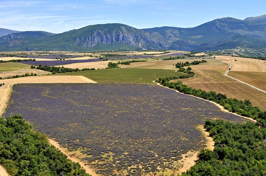 04plateau-valensole-3-0810